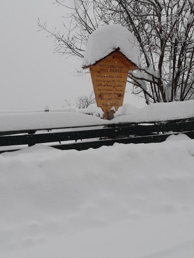 Haus Mauken - Appartments Mit Panoramablick Murau Buitenkant foto