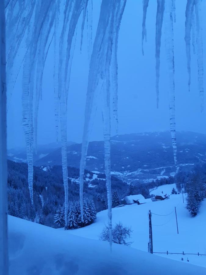 Haus Mauken - Appartments Mit Panoramablick Murau Buitenkant foto