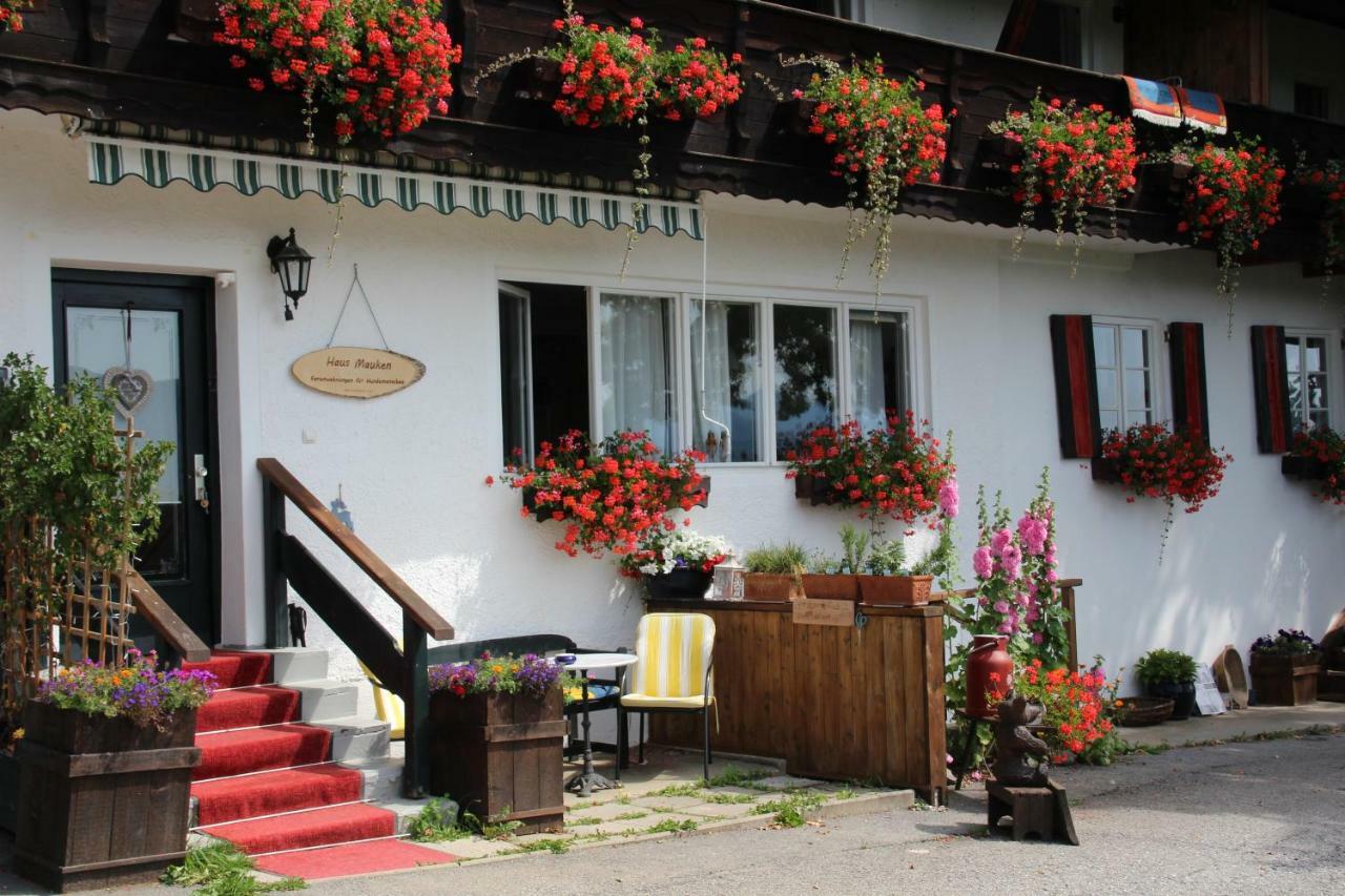 Haus Mauken - Appartments Mit Panoramablick Murau Buitenkant foto