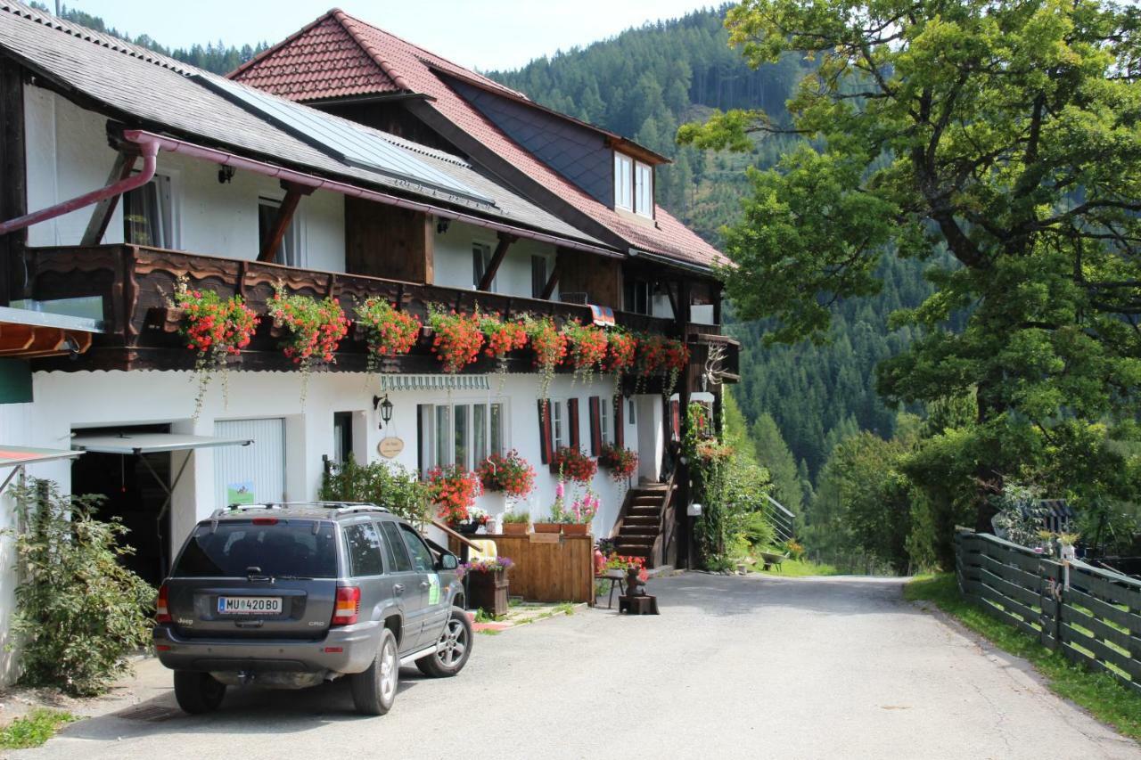 Haus Mauken - Appartments Mit Panoramablick Murau Buitenkant foto