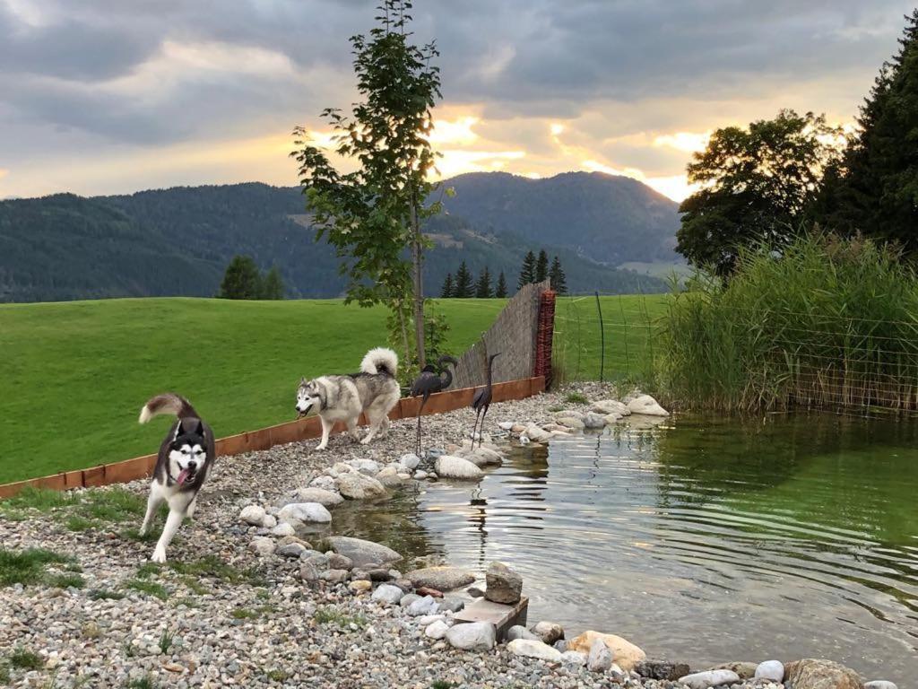 Haus Mauken - Appartments Mit Panoramablick Murau Buitenkant foto